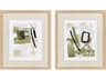 Abstract Sage Treasures-II Wall Art Set of 2