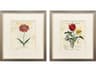 Favorite Flowers II Framed Art - Set of 2