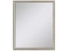 615 Mirror Group Metallic Neutral Silvered Wall Rectangular Mirror