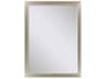 790 Mirror Group Metallic Neutral Silvered Wall Rectangular Mirror