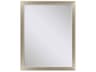 790 Mirror Group Metallic Neutral Silvered Wall Rectangular Mirror