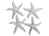 Silver Leaf Starfish Large 3D Wall Art Set of 4