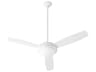 Expo 52" 2-Lights Ceiling Fan