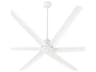 Titus 80" Outdoor Ceiling Fan