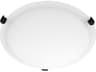 2-Light Matte Black Round Flush Mount