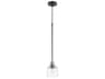 Monarch 1-Light Noir With Satin Nickel Black Glass Bell Mini Pendant