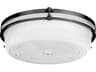 Emory 1-Light Matte Black Flush Mount