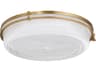 Emory 1-Light Brushed Brass Flush Mount