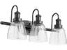 3-Light Matte Black Glass Vanity Light
