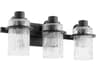 Lazo 3-Light Noir Black Glass Vanity Light