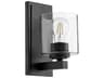 1-Light Noir With Clear Seeded Glass Wall Sconce
