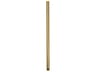24" Brushed Brass Downrod