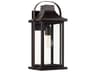 Downey 1-Light Outdoor Wall Light
