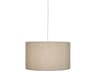 Elena 1-Light Painted White Off Drum Pendant