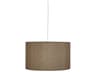 Elena 1-Light Painted White Gray Drum Pendant