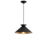Viggo 1-Light Blackened Steel Pendant
