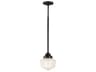 Taylor 1-Light Mini Pendant