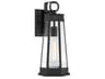 Payne 1-Light Outdoor Wall Light