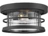 Barrett 2 - Light Outdoor Ceiling Light
