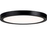 1-Light Black Round Flush Mount