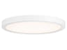 1-Light White Round Flush Mount