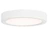 1-Light White Round Flush Mount
