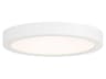 1-Light White Round Flush Mount