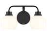 Meridian 2-Light Matte Black Vanity Light