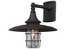Allegheny 1-Light Outdoor Wall Light