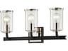 Aeon 3-Light Carbide Black Polished Nickel Glass Vanity Light