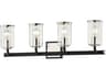 Aeon 4-Light Carbide Black Polished Nickel Glass Vanity Light