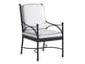 Pavlova Aluminum Dining Arm Chair with Cushion Set