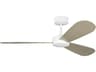 Paddle Smart 52 Inch Ceiling Fan Modern Smart