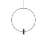 Layla LED Ring Pendant Light