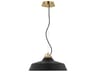 Forge 1-Light Black Natural Brass Pendant
