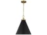 Wellfleet Medium Cone Pendant Midnight Black Burnished Brass