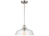 Pendant Light Payton Brushed Steel Clear Glass