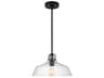 Payton Small Pendant Midnight Black Clear Glass