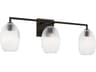 Serafina 3-Light Aged Iron Black Vanity Light