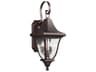2 Light Outdoor Wall Lantern Oakmont Patina Bronze Clear Seeded Glass
