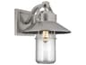 Boynton Outdoor Wall Sconce Painted Brushed Steel Seeded Glass