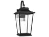 Warren 1-Light Outdoor Wall Light