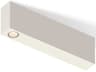Offset 1-Light Warm White Linear Flush Mount