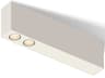 Offset 2-Light Warm White Linear Flush Mount