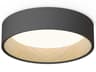 Duo 1-Light Graphite Gray Drum Flush Mount