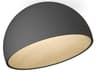 Duo 1-Light Graphite Gray Dome Flush Mount