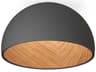 Duo 1-Light American Walnut Graphite Black Dome Flush Mount