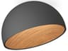 Duo 1-Light American Walnut Graphite Black Dome Flush Mount