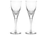 Splendour White Wine Goblet Set of 2