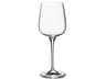 Aroma White Wine Goblet Set of 4